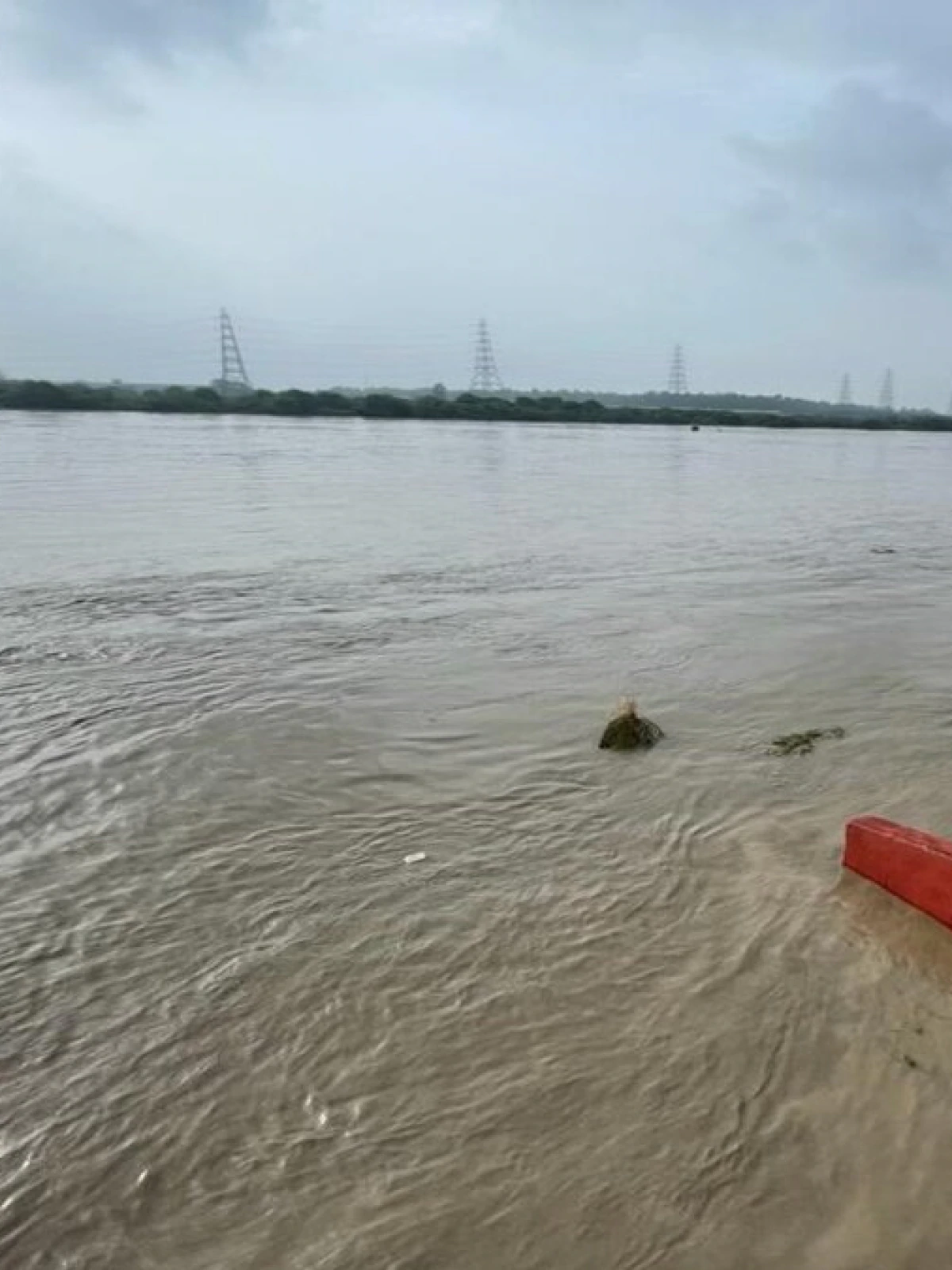 Delhi Flood: Yamuna continues to rise, river reaches above danger mark for third time; Increased risk of flooding