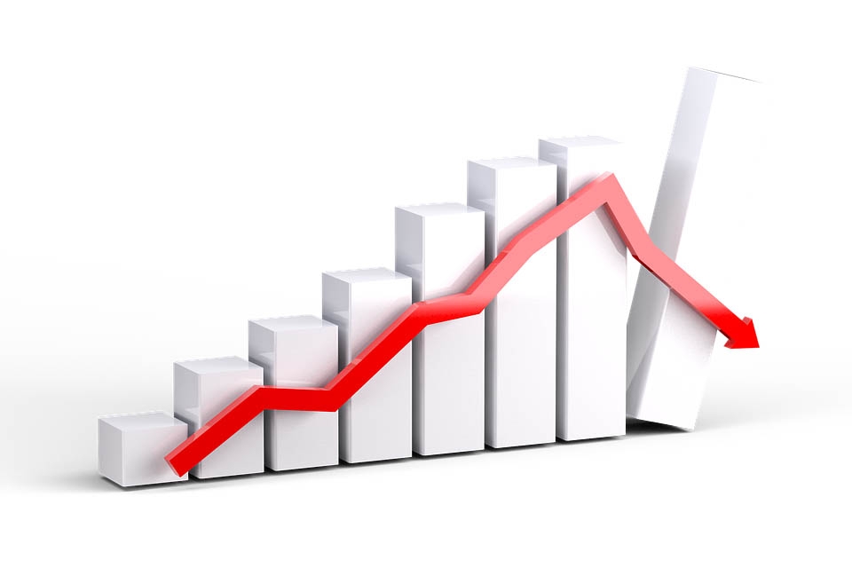 Domestic investors holding declined in June quarter