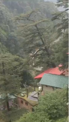 Landslide and Tree Fall Block Road in Shimla; Incident Occurred at 5:00 PM Yesterday