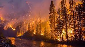 A staggering number of nearly 400 wildfires are currently ablaze in Canada’s British Columbia (BC) province, leading to the urgent evacuation of around 30,000 households,