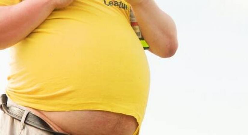 Brain’s appetite control centre different in overweight, obese people Brain’s appetite control centre different in overweight, obese people