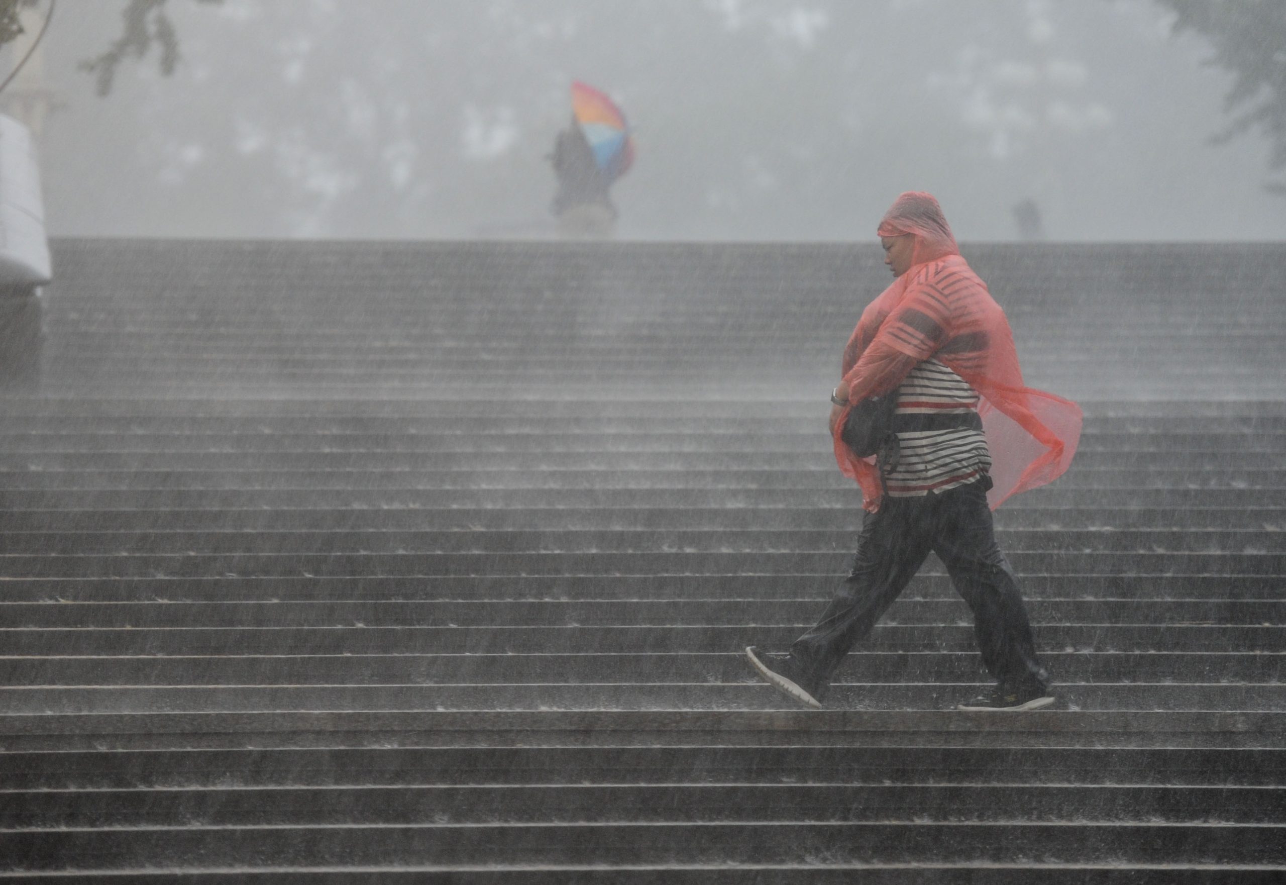 14 killed, one missing after heavy rain hits China