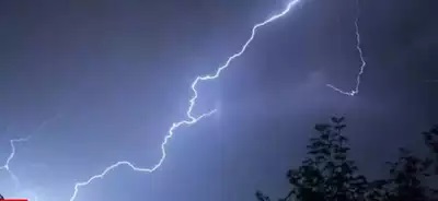 Teen takes shelter under tree in rain, dies in lightning strike