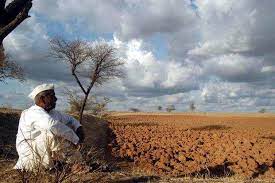 Till August this year, 685 farmers committed suicide in Marathwada, highest in Agriculture Minister’s district.