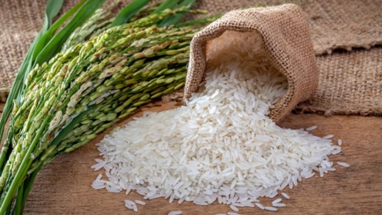 The escalating prices and shortage of rice, a dietary staple and critical nutrition source in Asia, due to government-imposed price controls, rationing, stockpiling, and export bans,