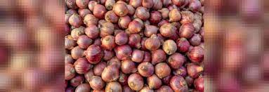 Onion traders in Nashik district have initiated an indefinite strike in response to the increased export duty imposed by the Union government,