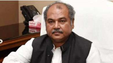 Photo of MP Election 2023: BJP places its bet on Narendra Singh Tomar for the Damoh constituency.