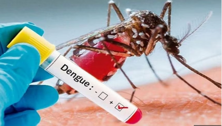 Dengue Cases Reported in Lucknow, Mosquito Breeding Prompts Notices in Homes. Dengue Cases Reported in Lucknow, Mosquito Breeding Prompts Notices in Homes.