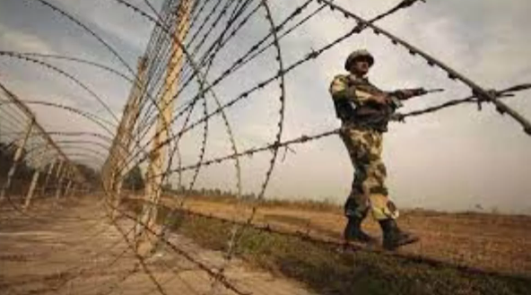 Punjab News: Pakistani National Arrested Trying to Enter Indian Border, Apprehended by BSF.