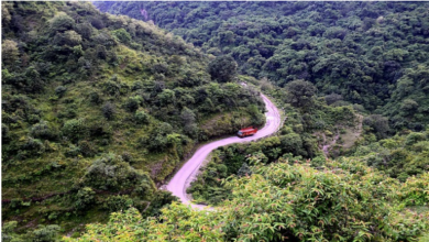 Photo of Jyolikot: Nature Lover’s Paradise for Mountain Enthusiasts and Solitude Seekers.
