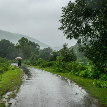 Lucknow Weather Alert: Heavy Rain Warning for Multiple UP Districts