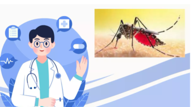Photo of Gorakhpur : Dengue outbreak continues in Gorakhpur, with daily new cases.