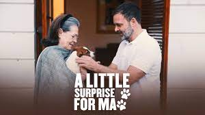 ‘Little surprise for Ma’: Rahul Gandhi Introduces New “Family Member” ‘Noorie’