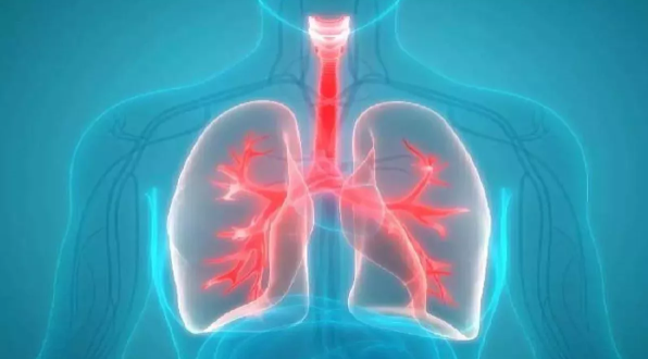 Delhi Air Pollution: Pollution is rapidly increasing in Delhi, and it has the most significant impact on our lungs. Delhi Air Pollution: Pollution is rapidly increasing in Delhi, and it has the most significant impact on our lungs.