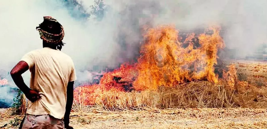 Punjab: Open Challenge to Democratic Values, Rise in Stubble Burning Incidents