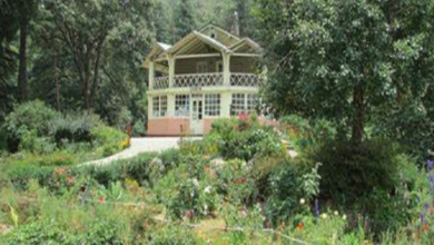 Swami Vivekananda Jayanti: Mayawati Ashram in Uttarakhand Embraces His Ideals