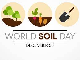 Photo of World soil day 5 december