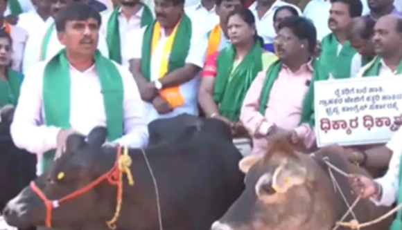 Congress Government is Anti-Cow”, Politics Heats Up Over Cattle in Karnataka.