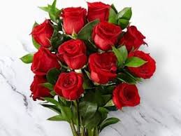 Happy Rose Day 2024