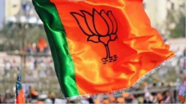 UP Politics: BJP sends panel of names to central leadership for candidates on 24 Lok Sabha seats.