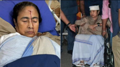 Who pushed Mamata Banerjee, After treatment, the CM was discharged from the hospital; doctor provided a health update.