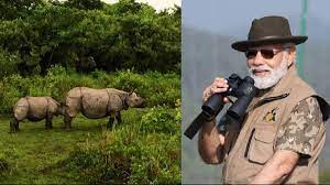 PM Modi Assam Visit: PM Modi visited Kaziranga National Park in jeep, also took elephant ride