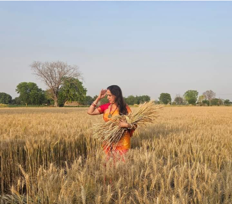 During her election campaign, Mathura Lok Sabha candidate and actress Hema Malini was spotted harvesting wheat in the fields