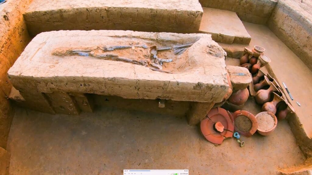 WhatsApp Image 2026 04 13 at 20.45.54