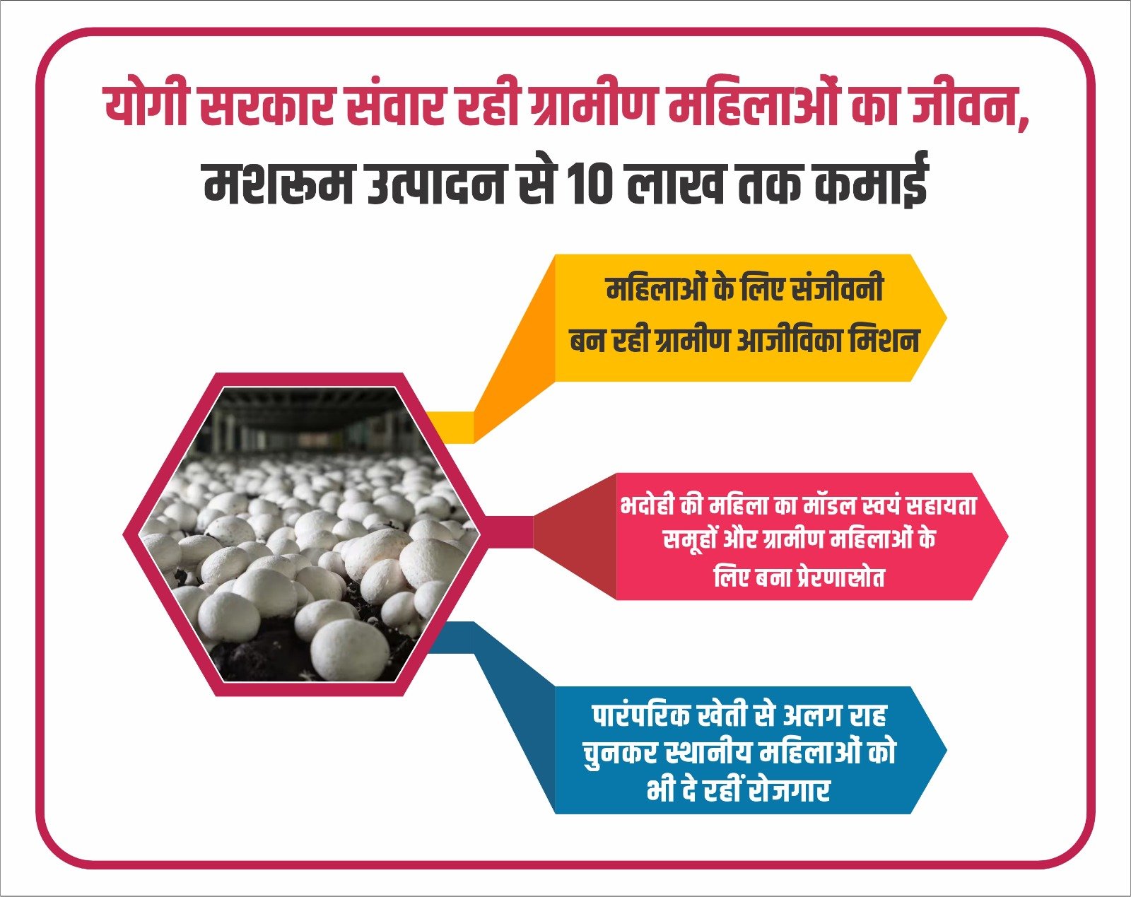 Yogi Government Boosts Rural Women’s Income, Empowering Mushroom Farming Entrepreneurs to Earn Up to ₹10 Lakh in Uttar Pradesh