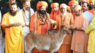 Strict action will be taken for negligence in grievance redressal: CM Yogi Strict action will be taken for negligence in grievance redressal: CM Yogi