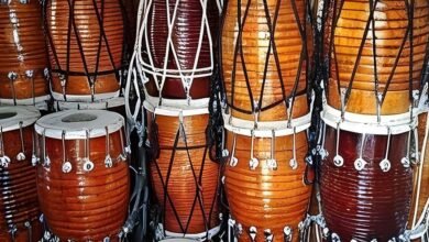 Amroha’s dholak beats to resonate in Greater Noida; 6 prominent units to get an international platform
