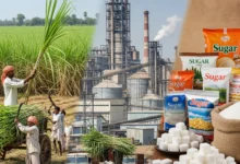 102 sugar mills made 100% payment to sugarcane farmers