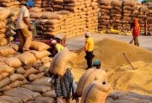 Paddy procurement to begin in eastern UP, Lucknow, Rae Bareli and Unnao from November 1