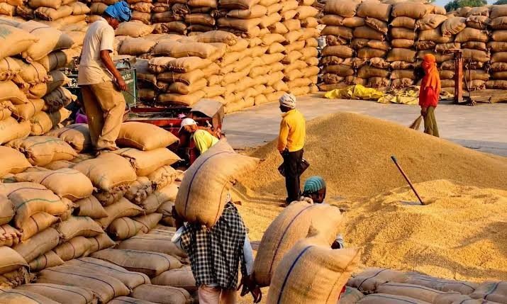 Paddy procurement to begin in eastern UP, Lucknow, Rae Bareli and Unnao from November 1 Paddy procurement to begin in eastern UP, Lucknow, Rae Bareli and Unnao from November 1