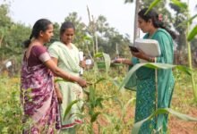 Natural farming to transform rural economy; up plans to develop Natural Farming Districts