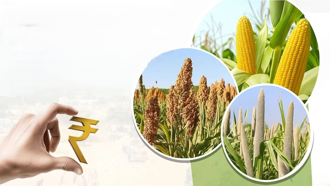 Procurement of maize, pearl millet and sorghum to continue until December 31